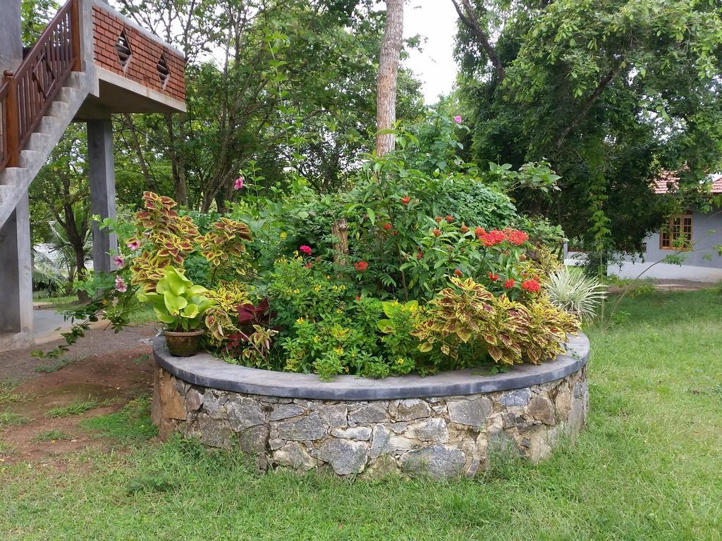 Tranquality Chalets Tangalle Quarto foto